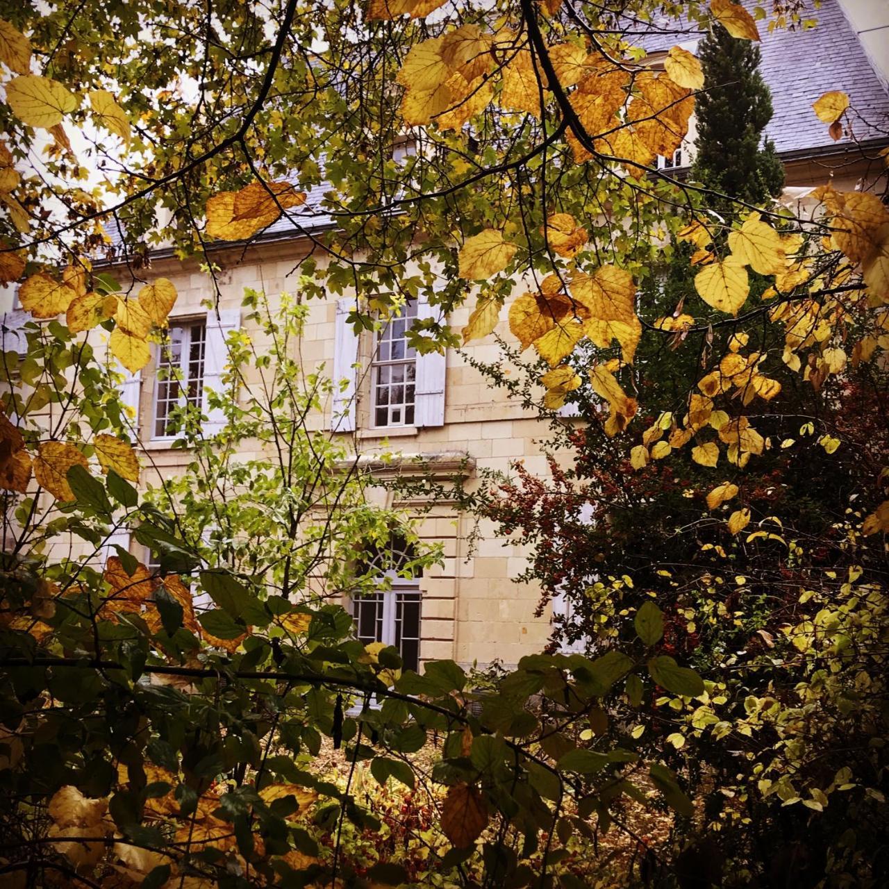 Demeure De Beaulieu Bed & Breakfast Le Coudray-Macouard Exterior photo