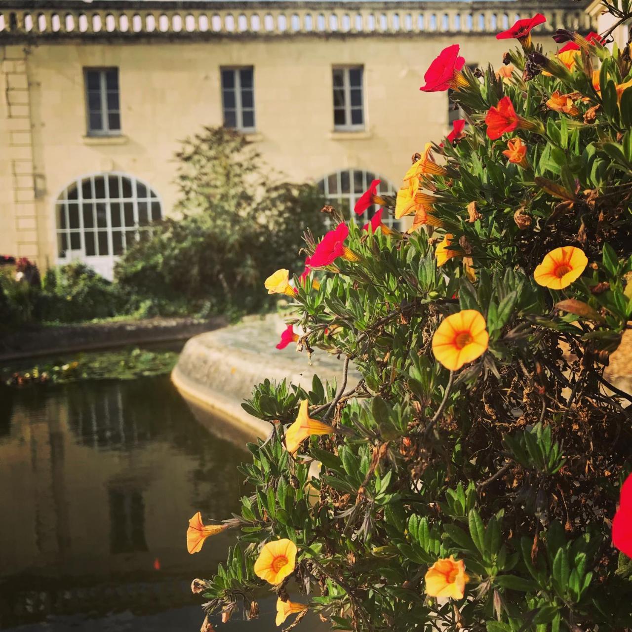 Demeure De Beaulieu Bed & Breakfast Le Coudray-Macouard Exterior photo